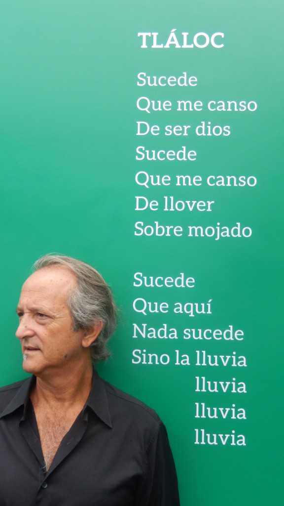 Feria del libro, México (2014)