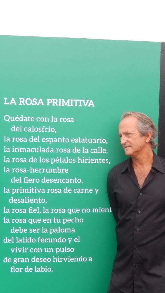 Feria del libro, México (2014)
